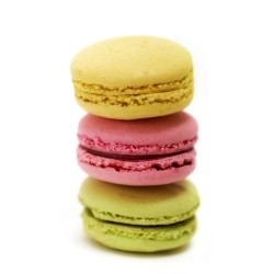 Macarons les 100g
