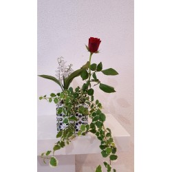 Petite composition avec 1 rose