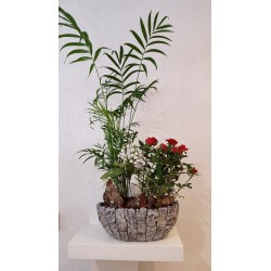 Copmosition piqué avec roses