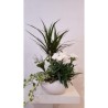 Composition de plante  dans panier avec muguet racine 