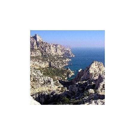 Miel de calanques 250g